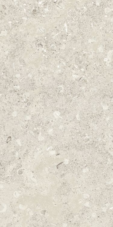 Sea Luster Avorio Matte 12 x 24